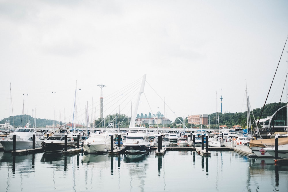 a harbor filled with lots of boats on a cloudy day