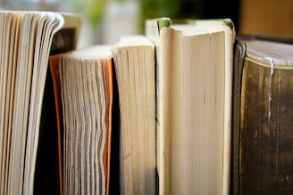 macro photo of five assorted books