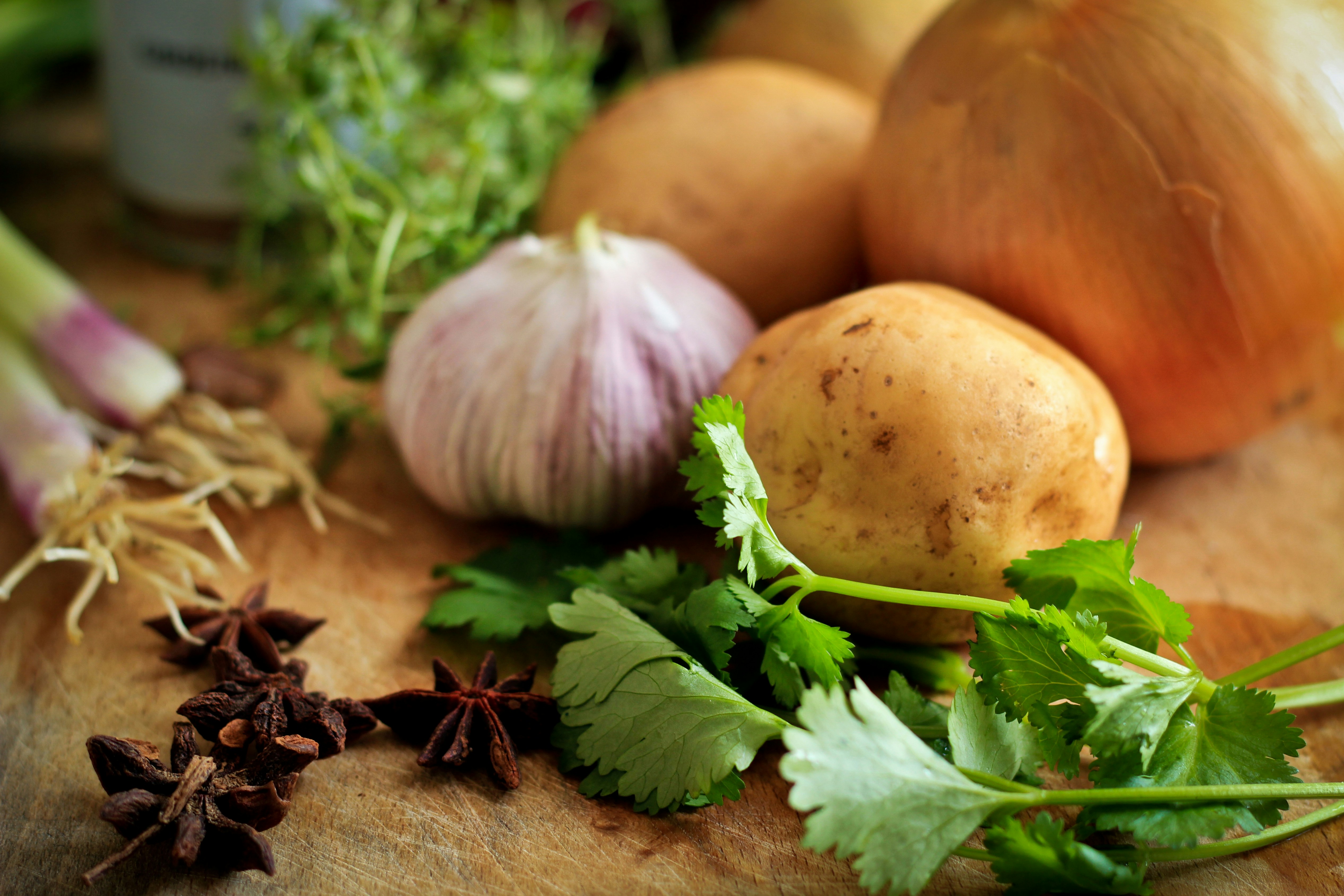 High-Quality Ingredients Partner Choice