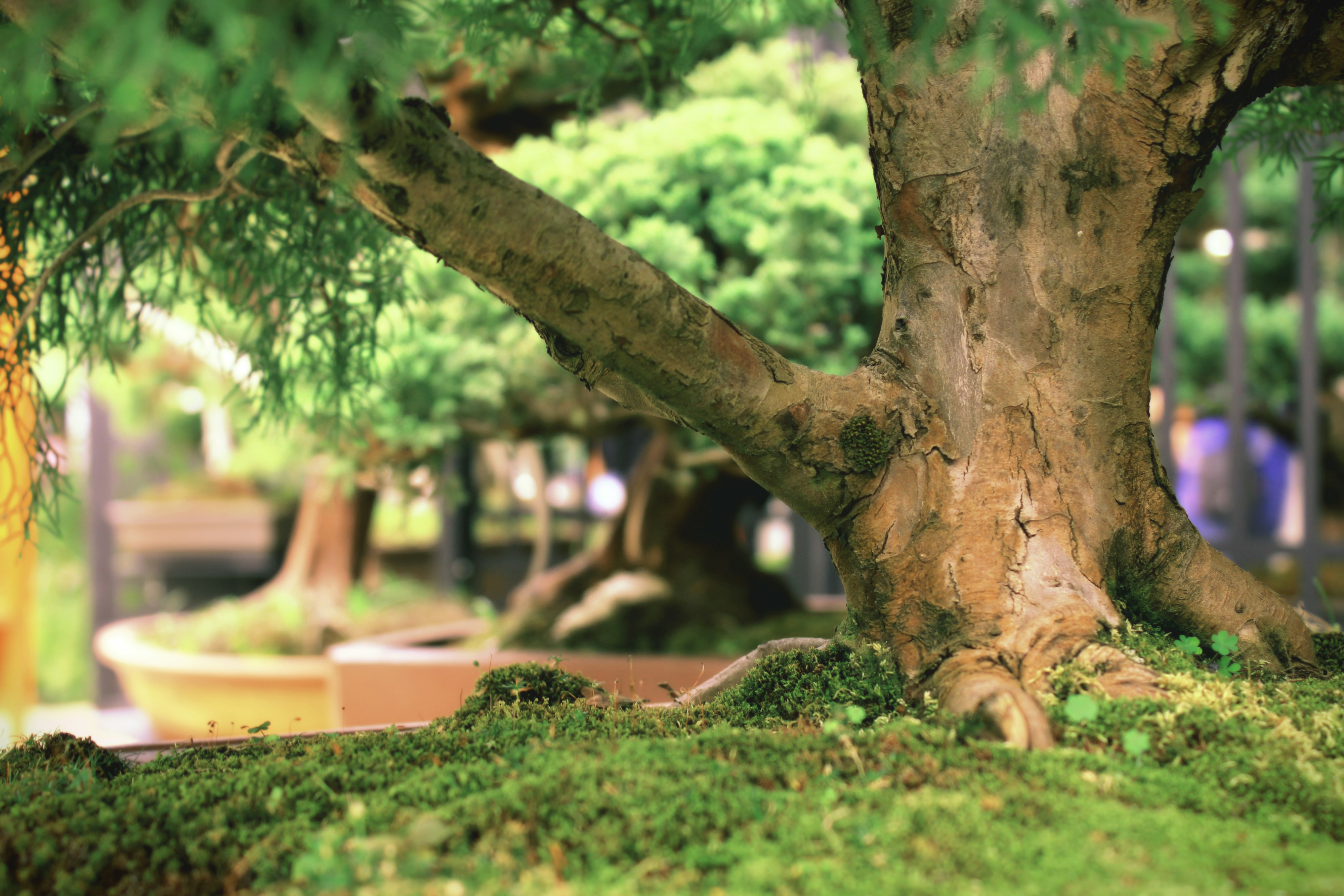 Free Unsplash photo from Jhon David