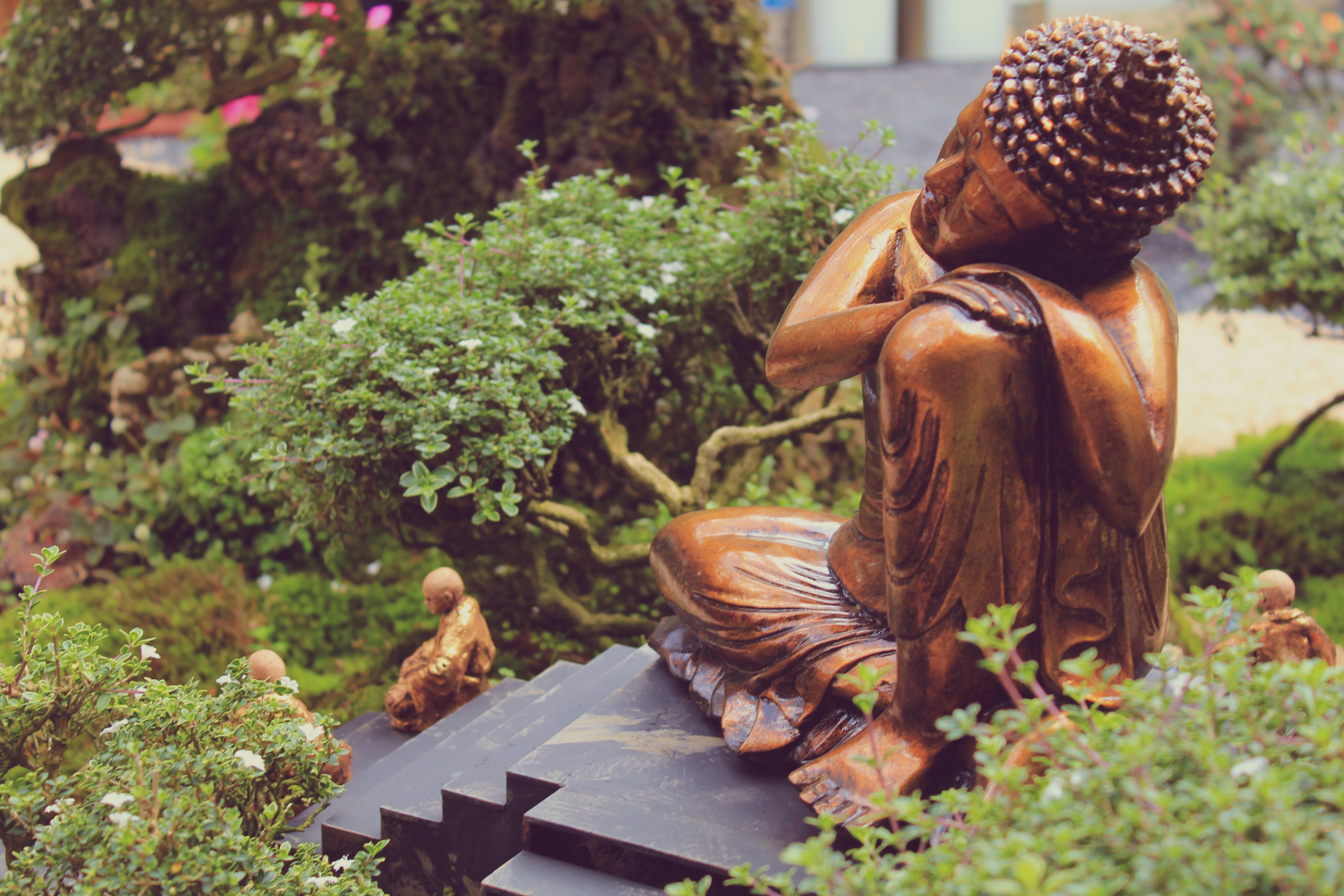 Free Unsplash photo from Jhon David