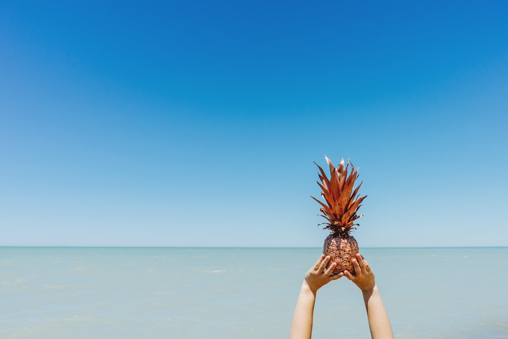 person holding pineapple