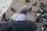 A group of pigeons gathered on a sandy surface, with one pigeon prominently perched on a person's hand in the foreground. The birds display various shades of gray and black plumage, with some iridescent green and purple hues visible on their neck feathers.