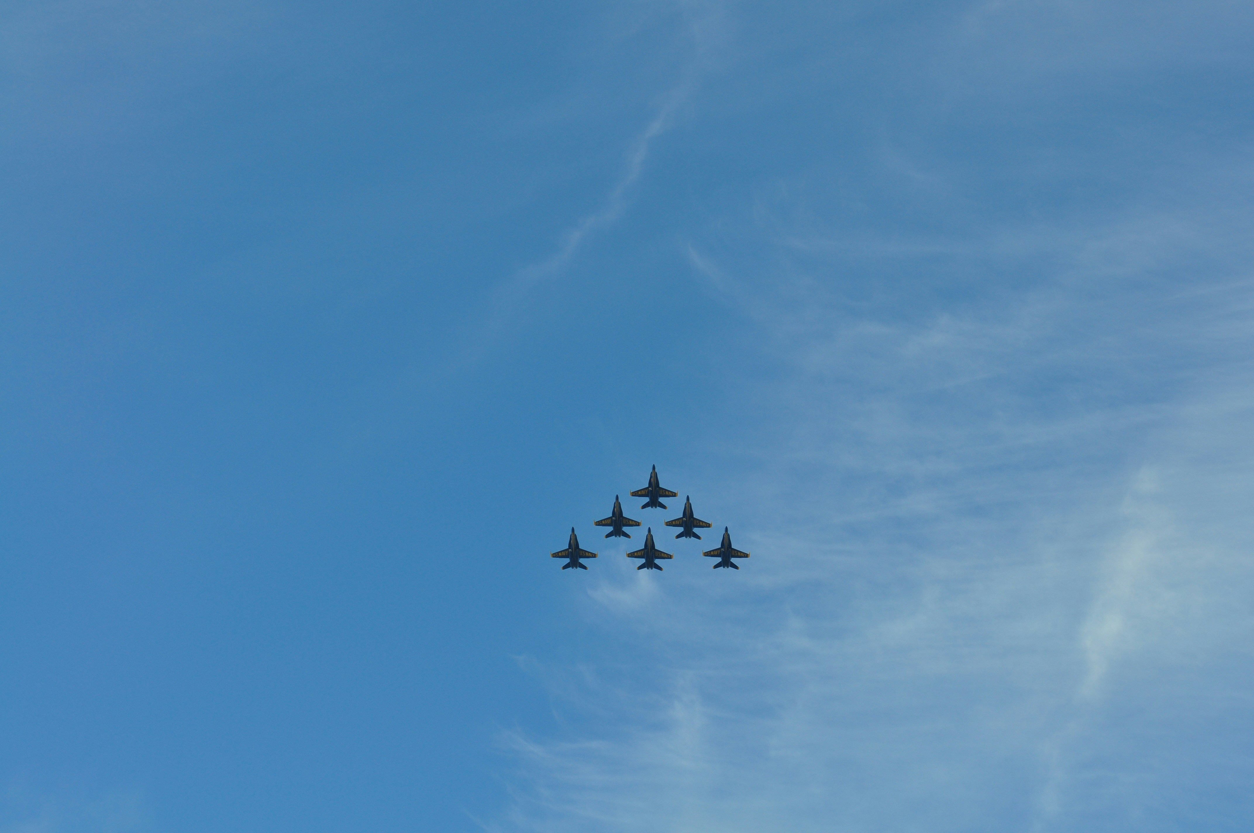 Free Unsplash photo from Patrick Vovor