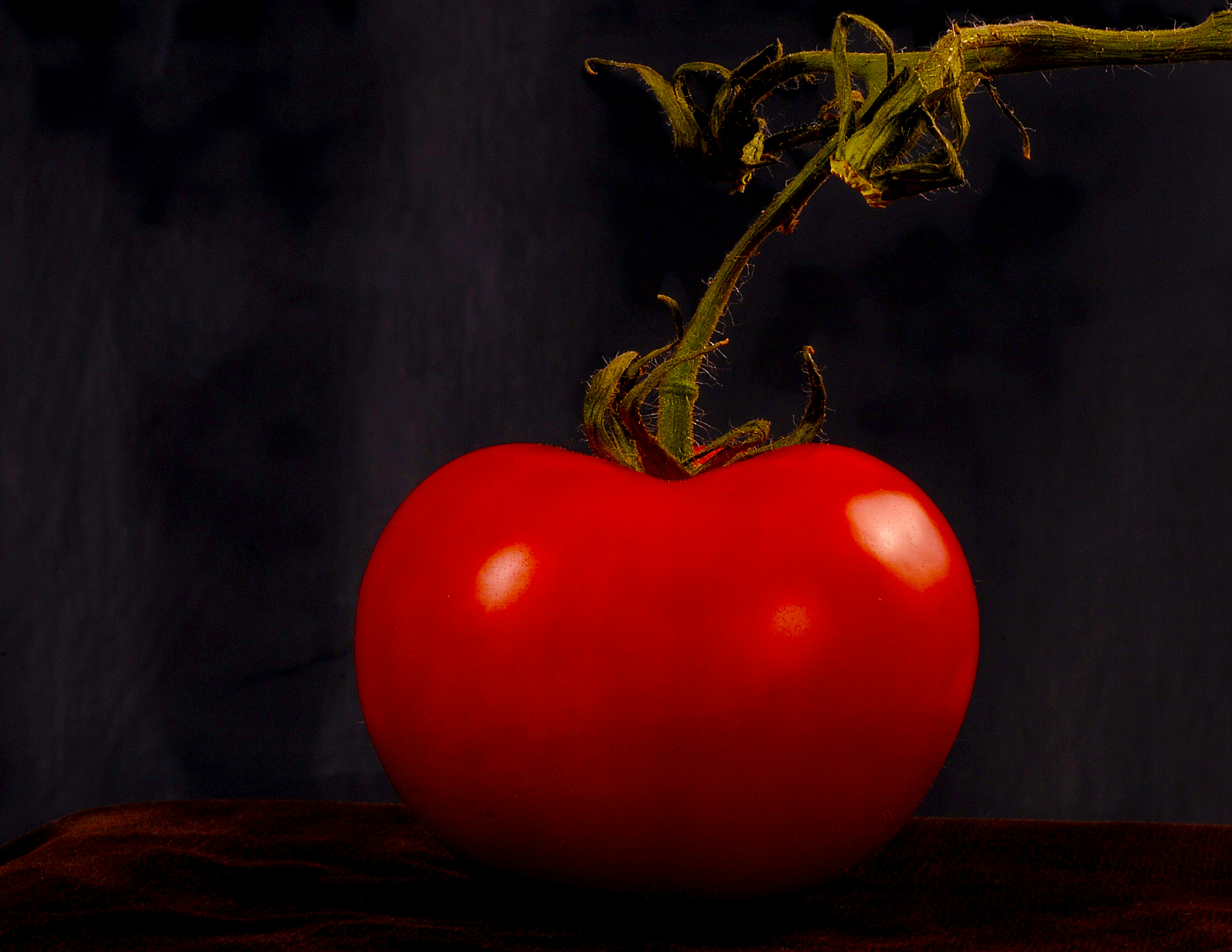 Free Unsplash photo from Alan Emery