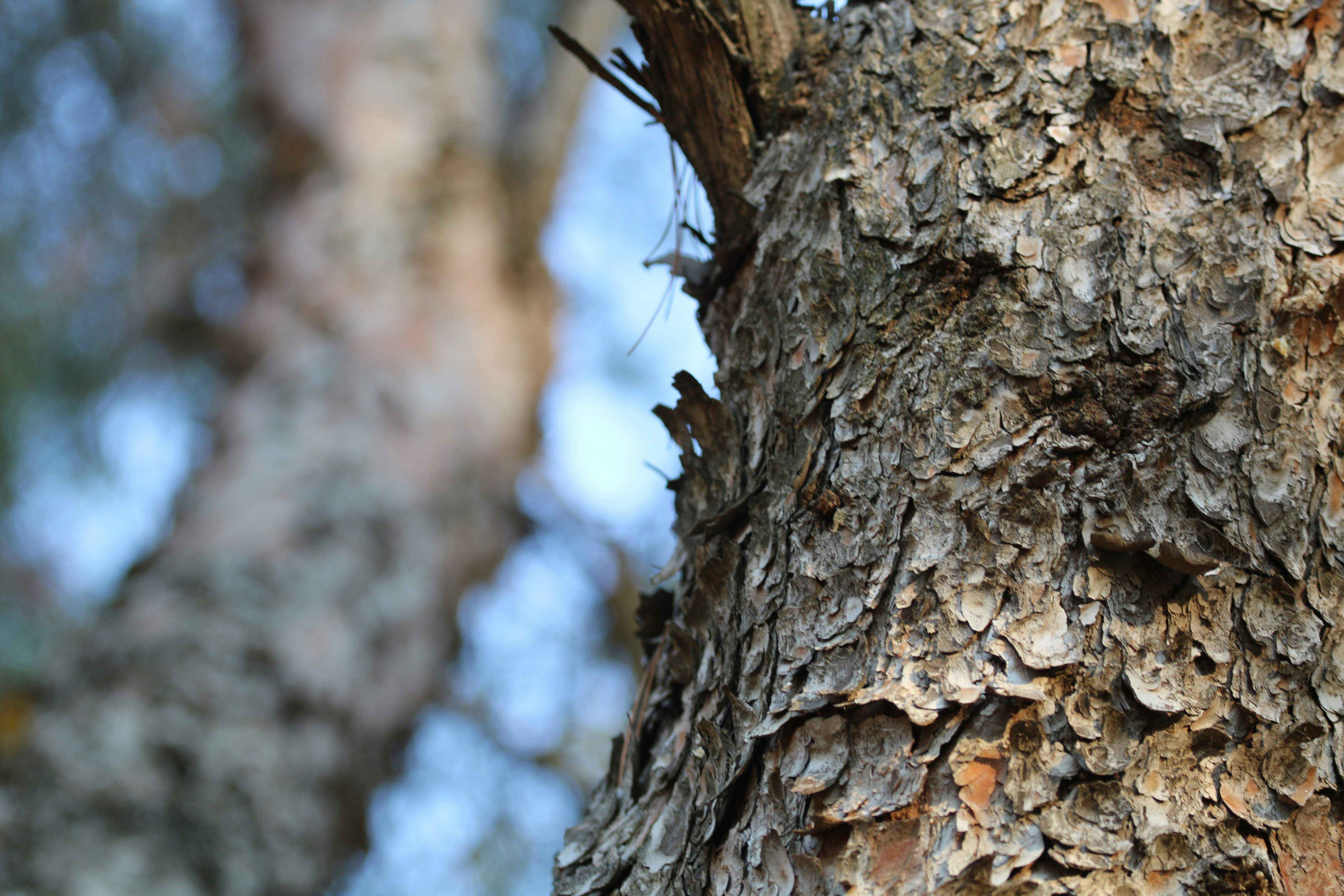 Free Unsplash photo from Danae Drdn