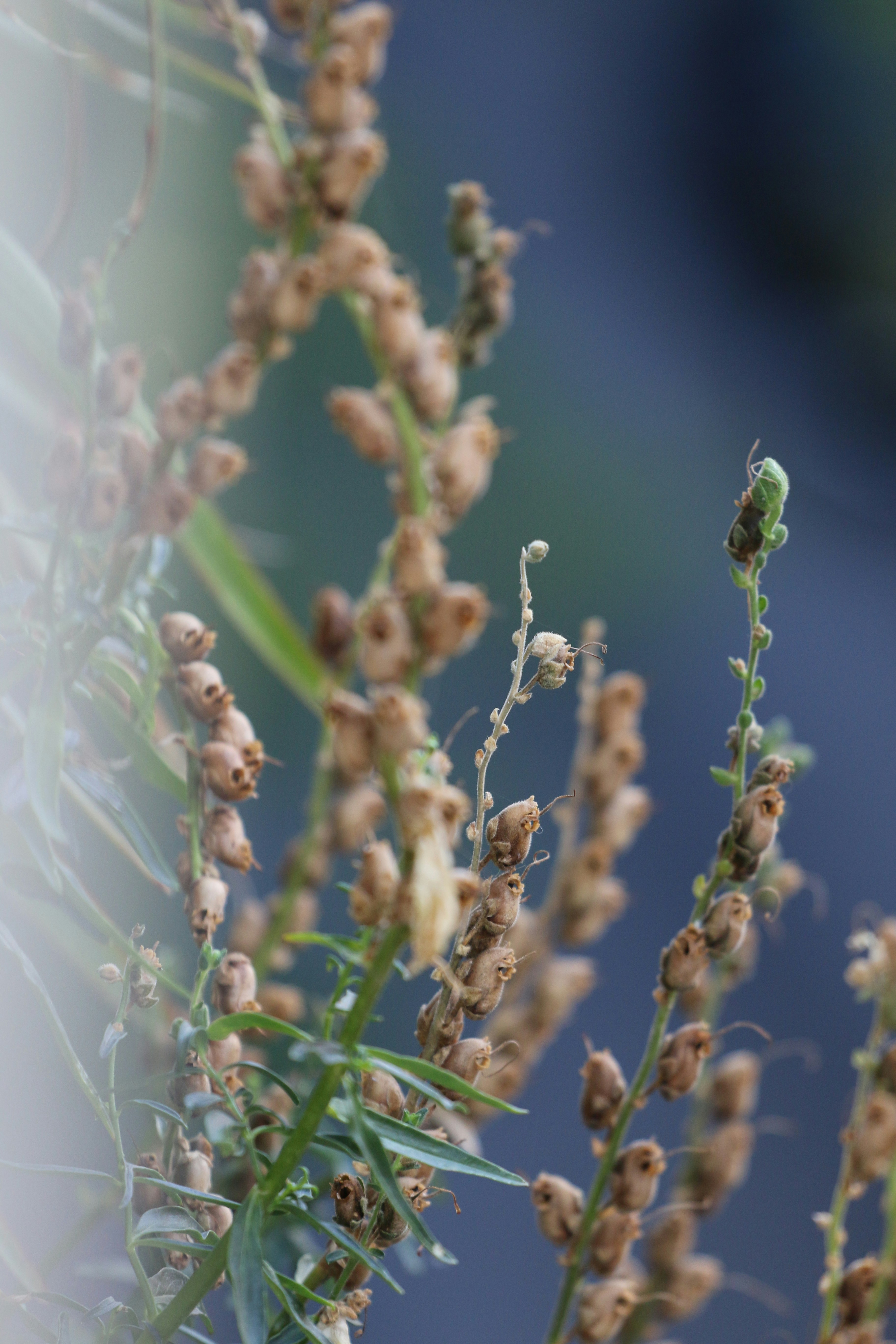 Free Unsplash photo from Danae Drdn