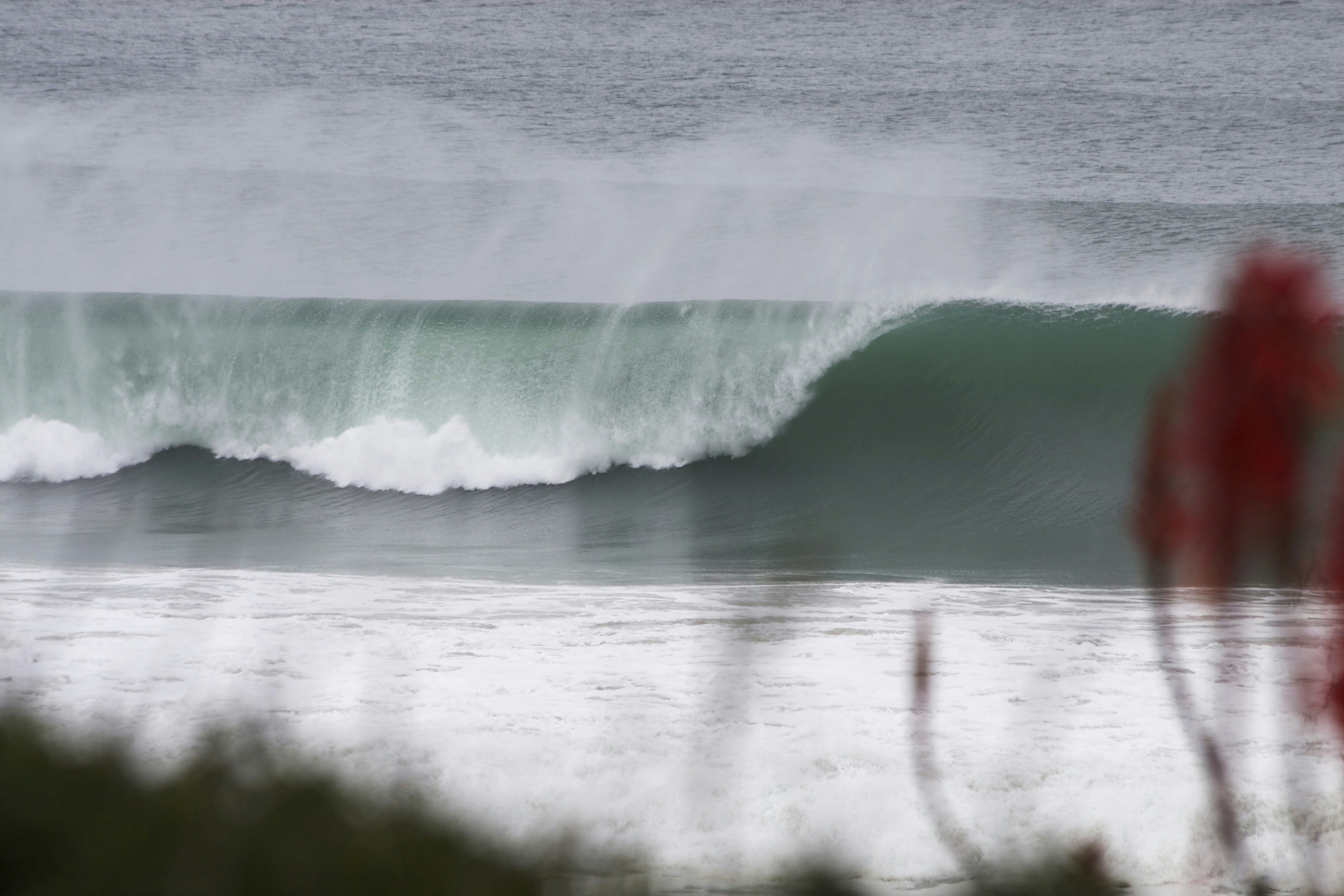 Free Unsplash photo from Martin Hatchuel