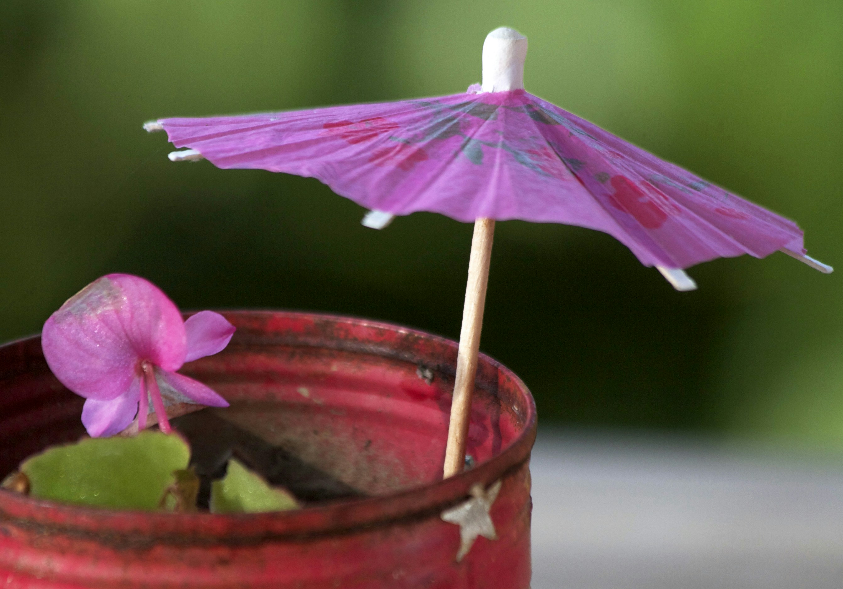 Free Unsplash photo from Martin Hatchuel