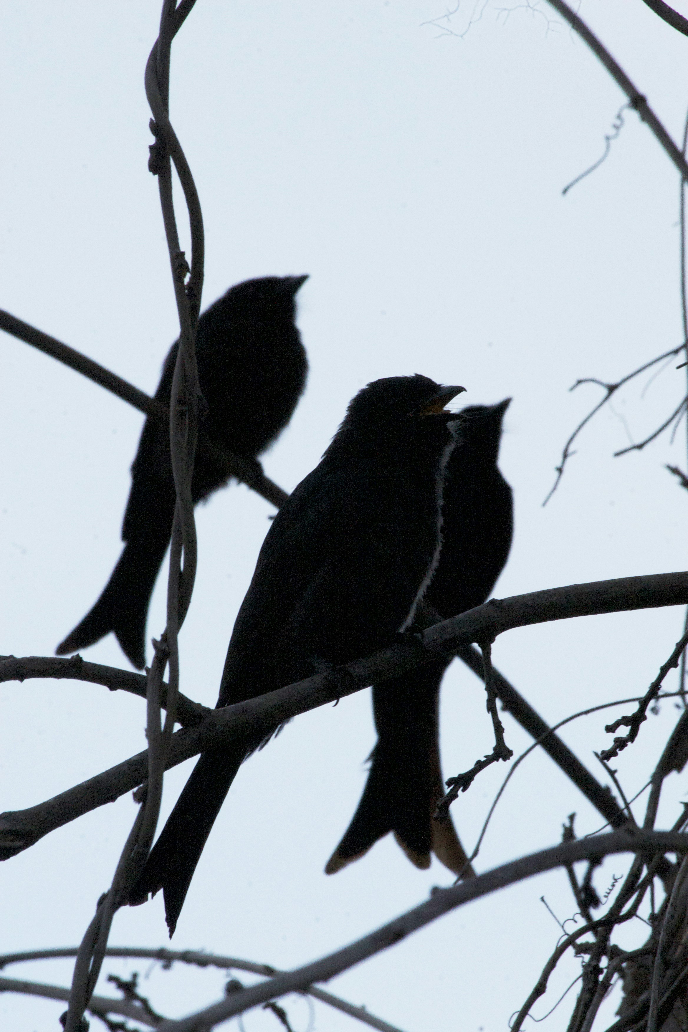 Free Unsplash photo from Martin Hatchuel