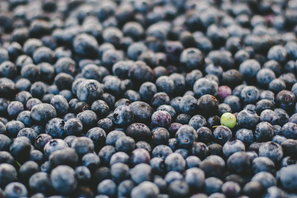 bunch of blueberries