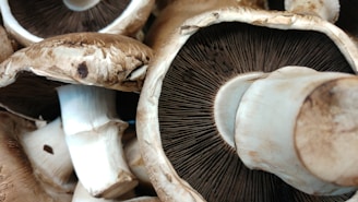 Close-up of fresh shiitake mushrooms with rich brown caps and textured stems.