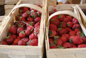 A basket overflowing with ripe strawberries and grapes ready for export.