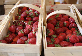 A basket overflowing with ripe strawberries and grapes ready for export.
