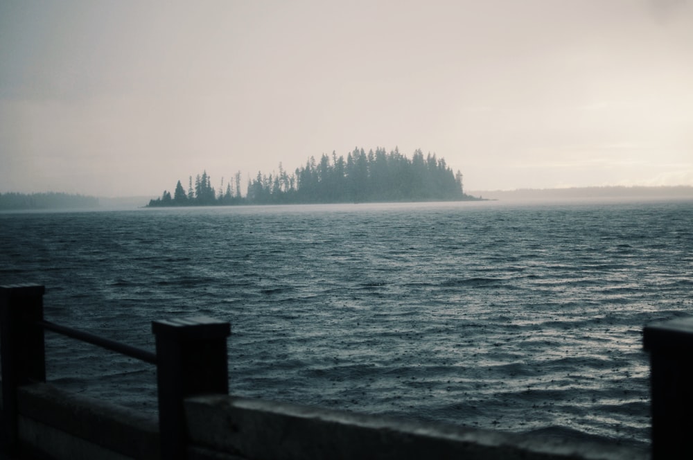 body of water and black wooden dock