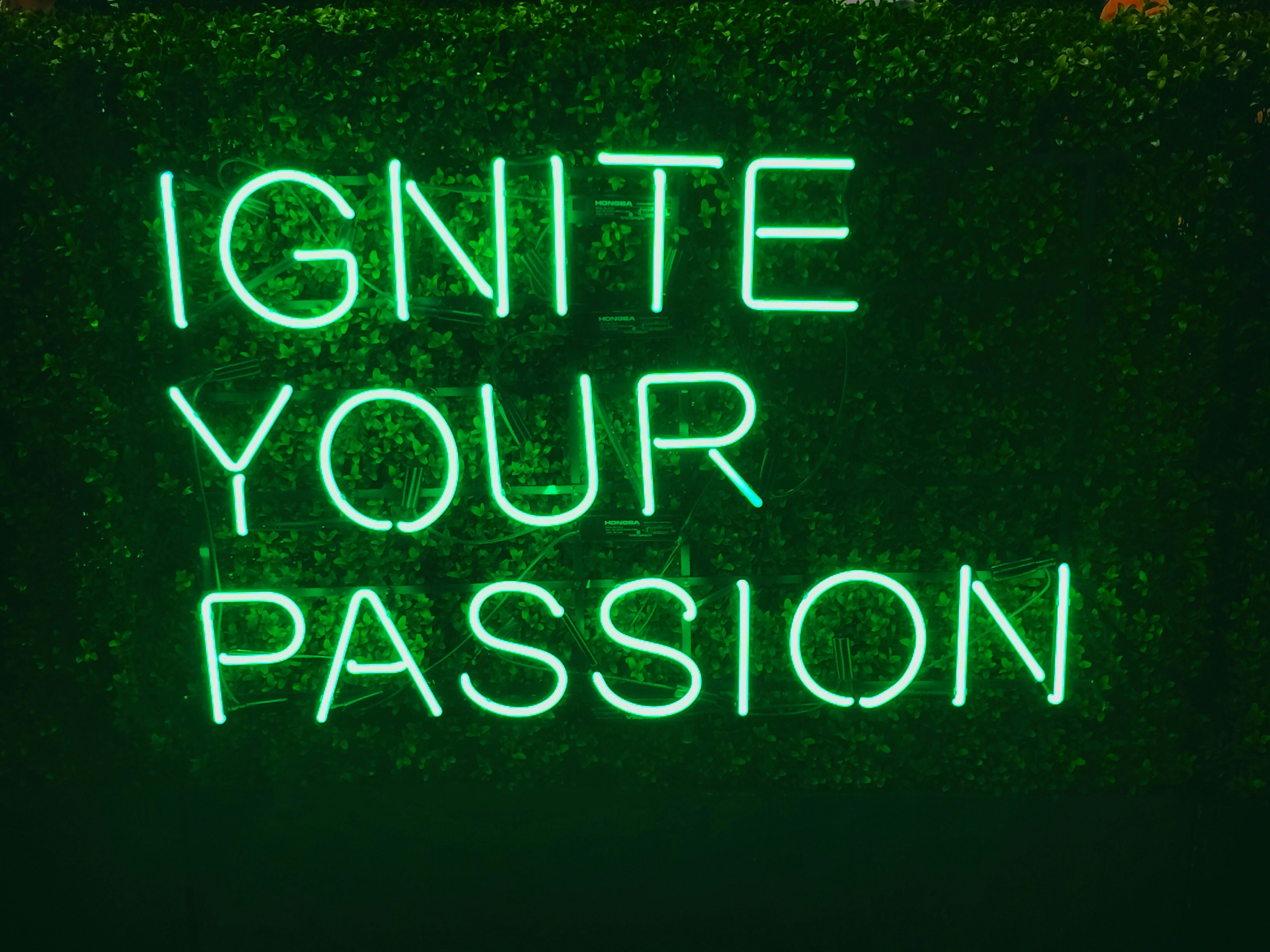 Free Unsplash photo from Zoe Ivanov