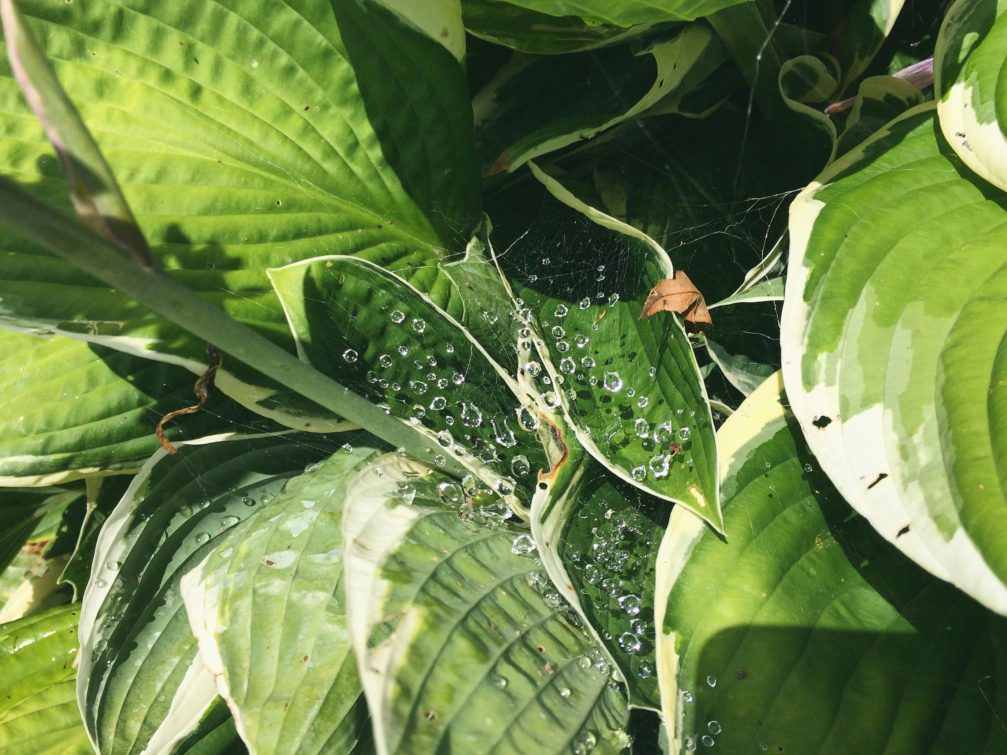 Free Unsplash photo from Zoe Ivanov