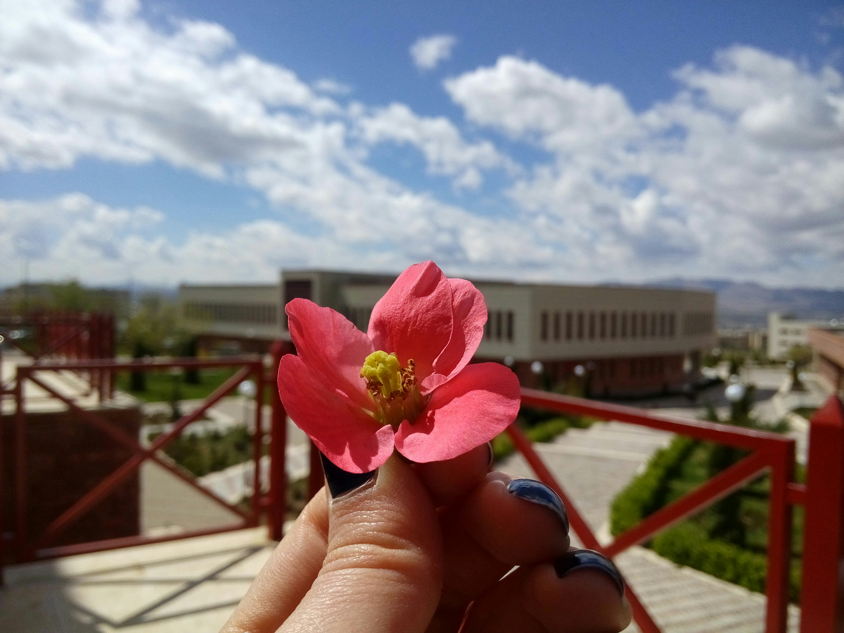 Free Unsplash photo from Farzaneh Mirzakhanloo