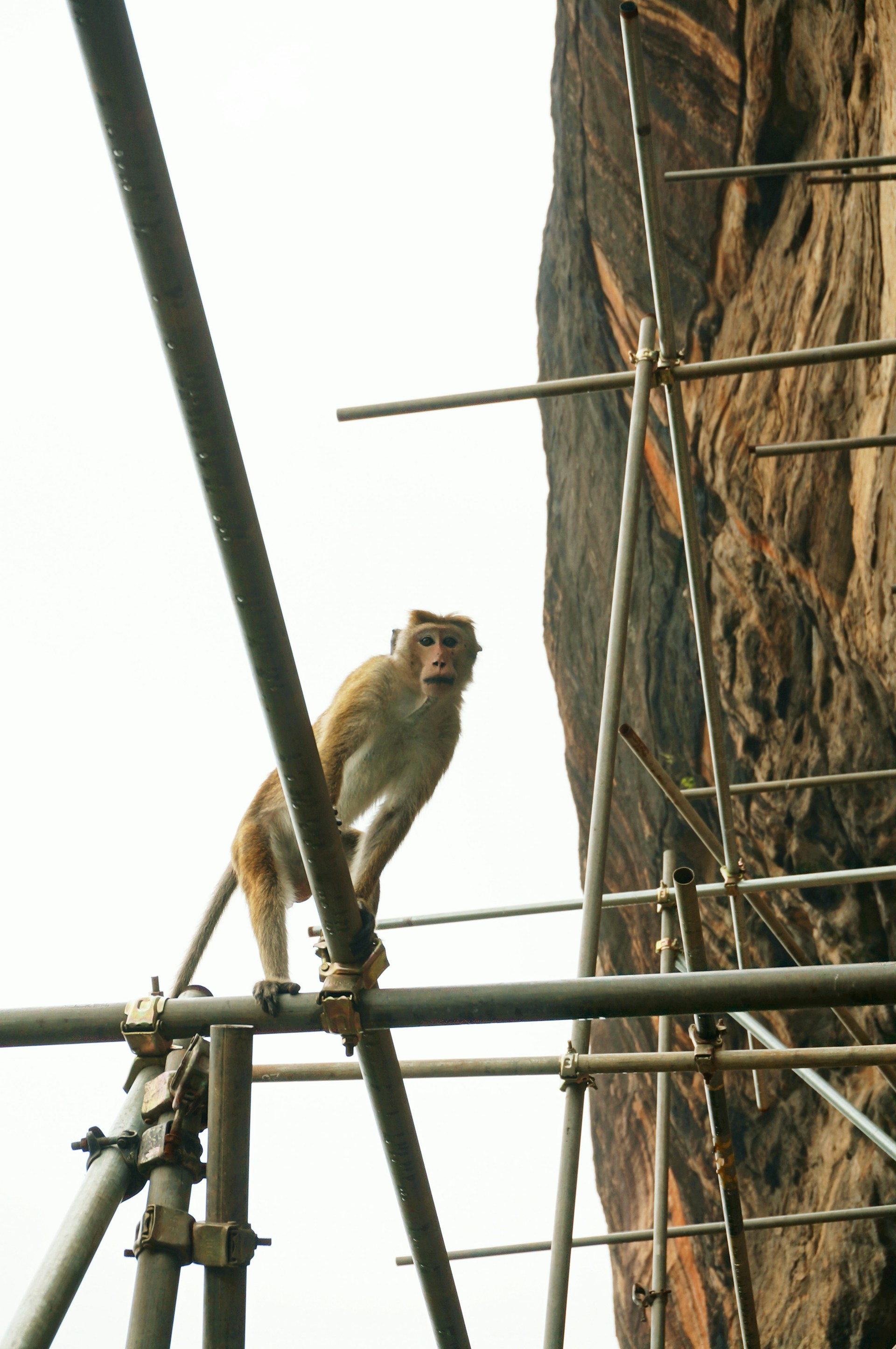 gray computer monitor