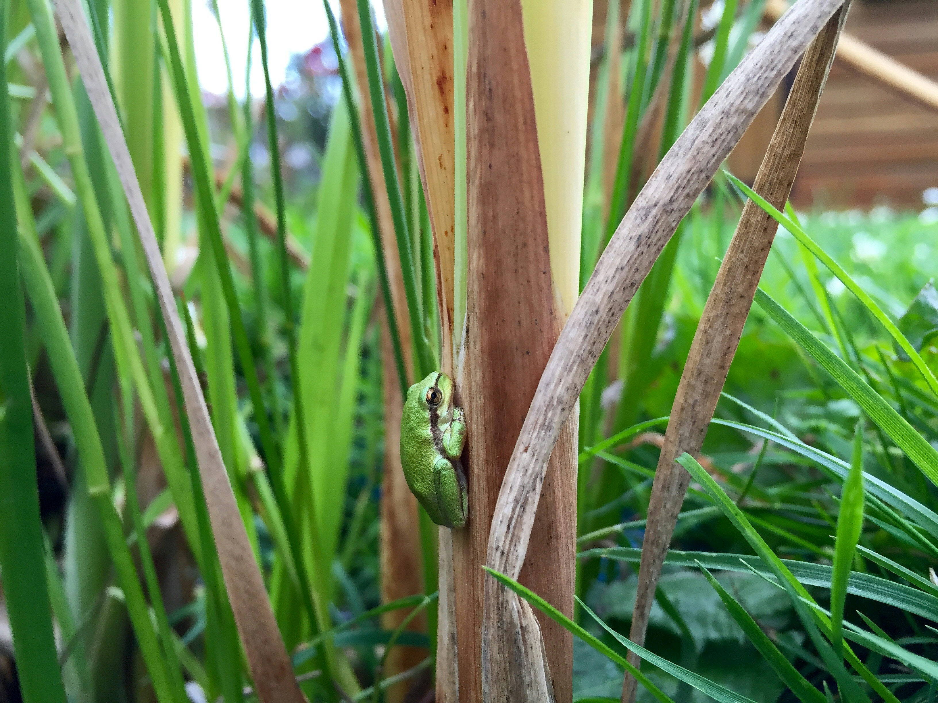 Free Unsplash photo from Peter Druska