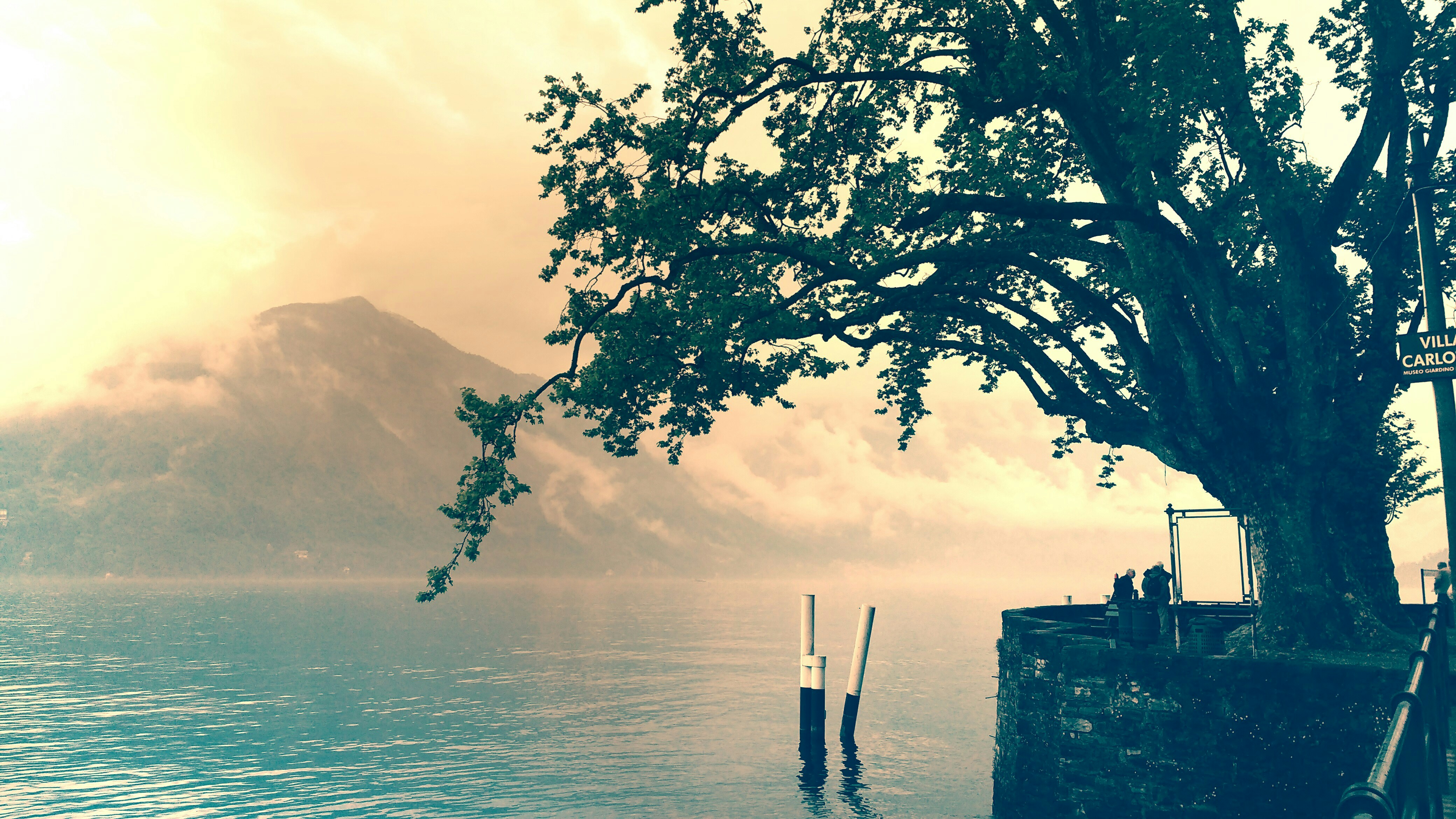 Free Unsplash photo from Oven Owon