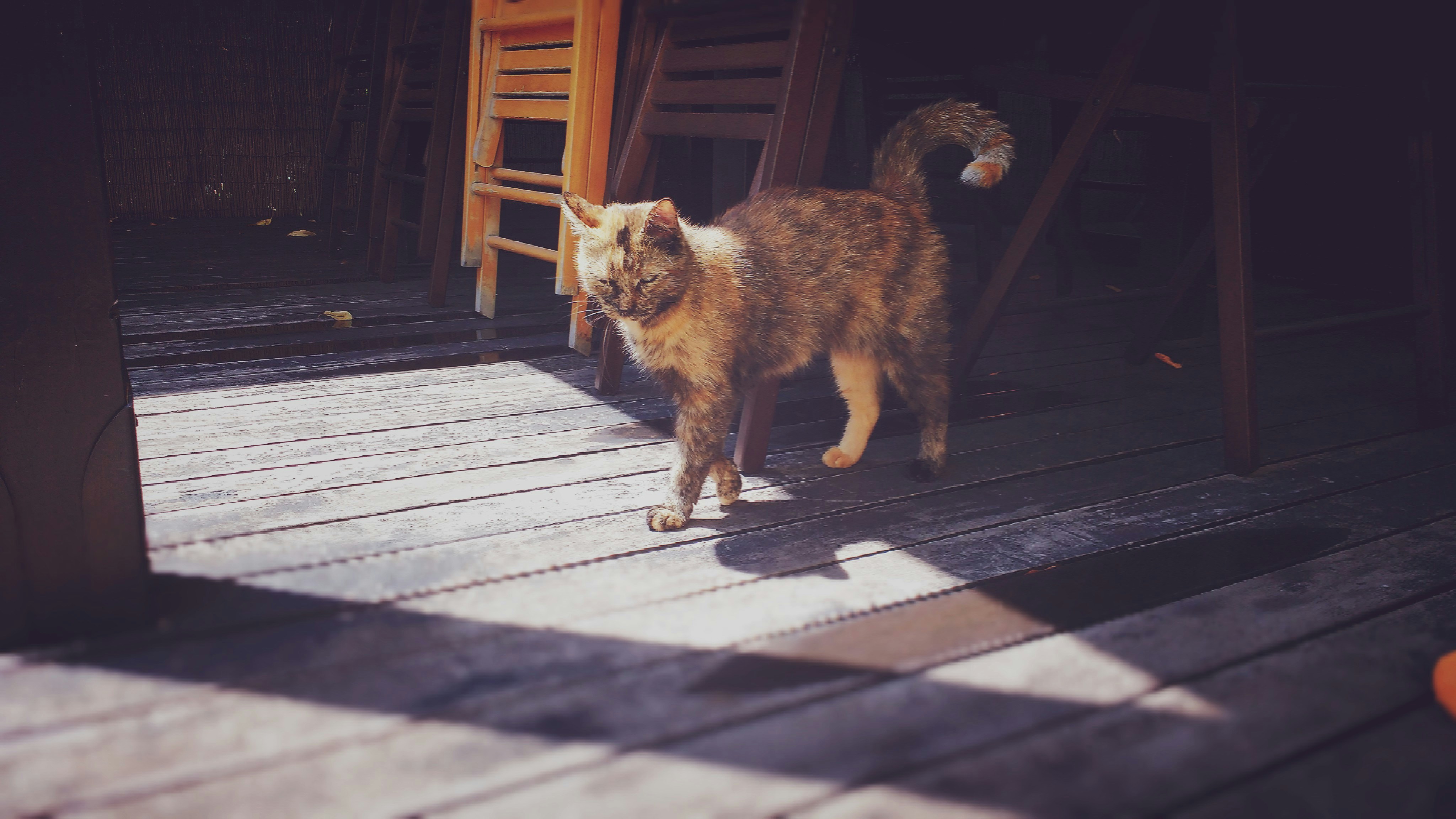 Free Unsplash photo from Oven Owon