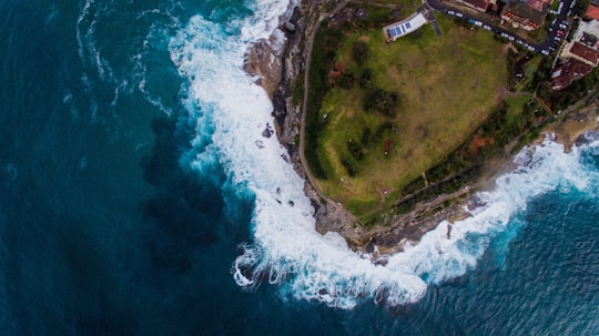 photo of Tamarama Coast near  Circular Quay