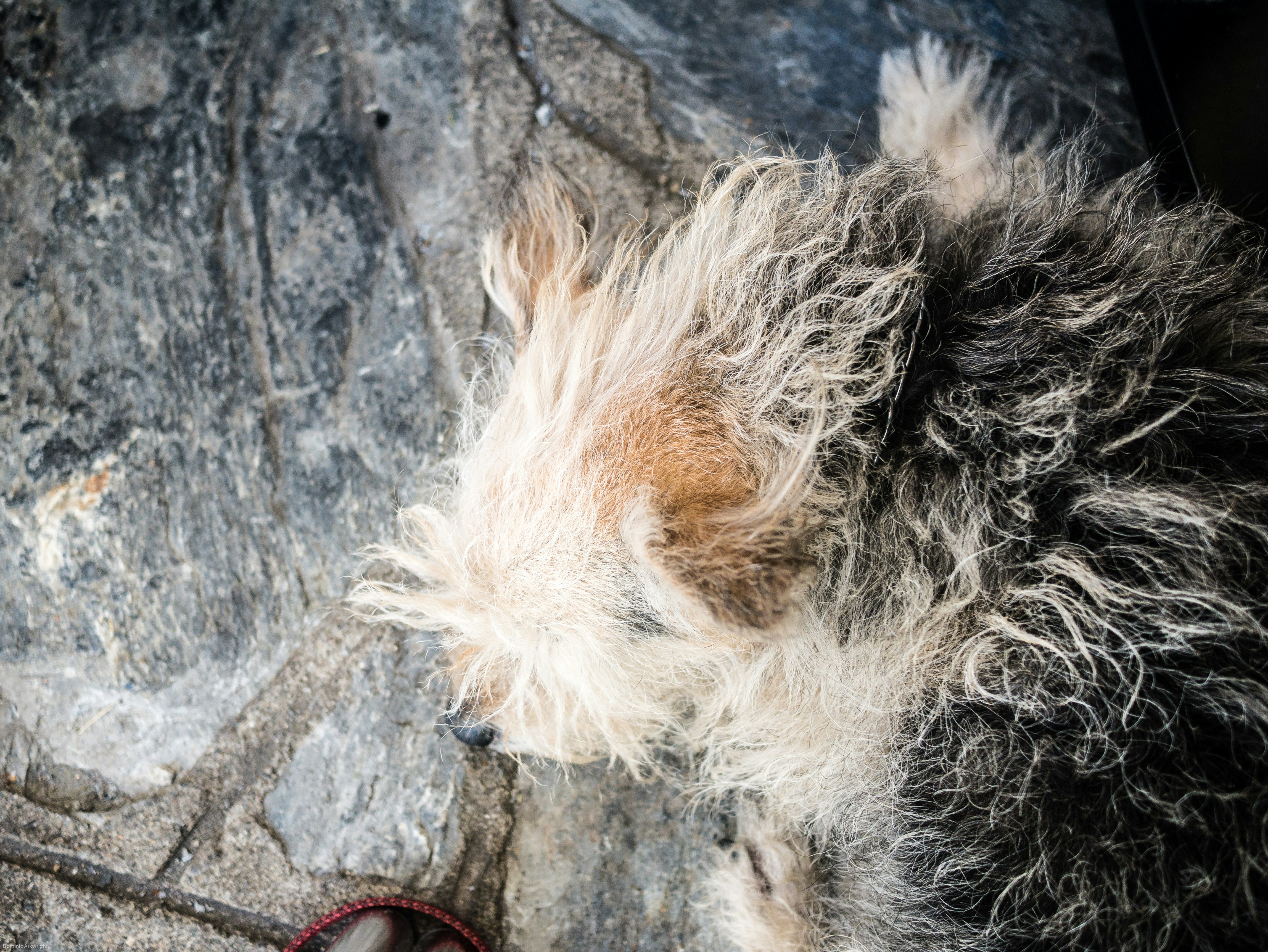 Free Unsplash photo from Dominic Arkwright