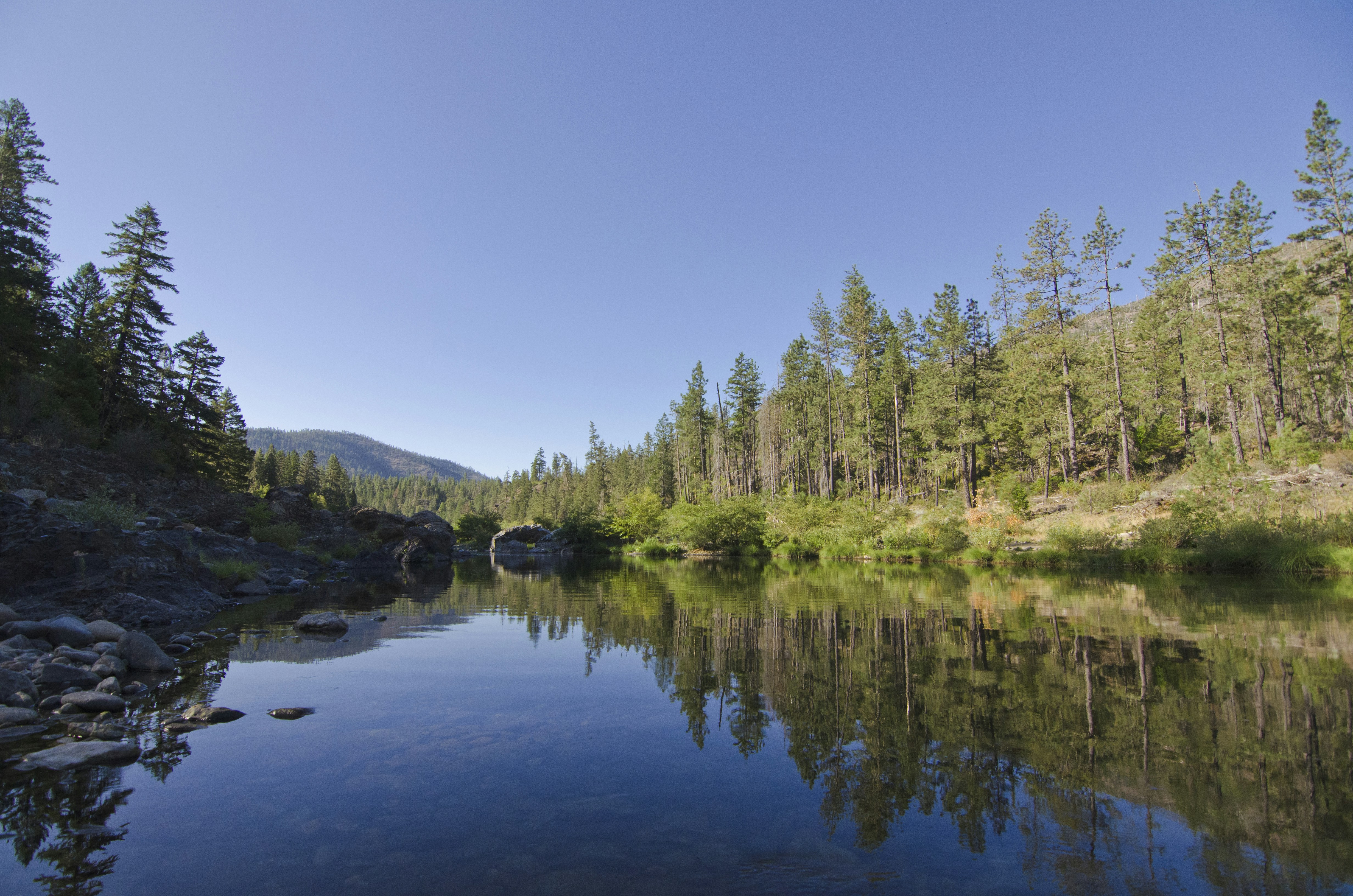 Free Unsplash photo from Jamison McAndie