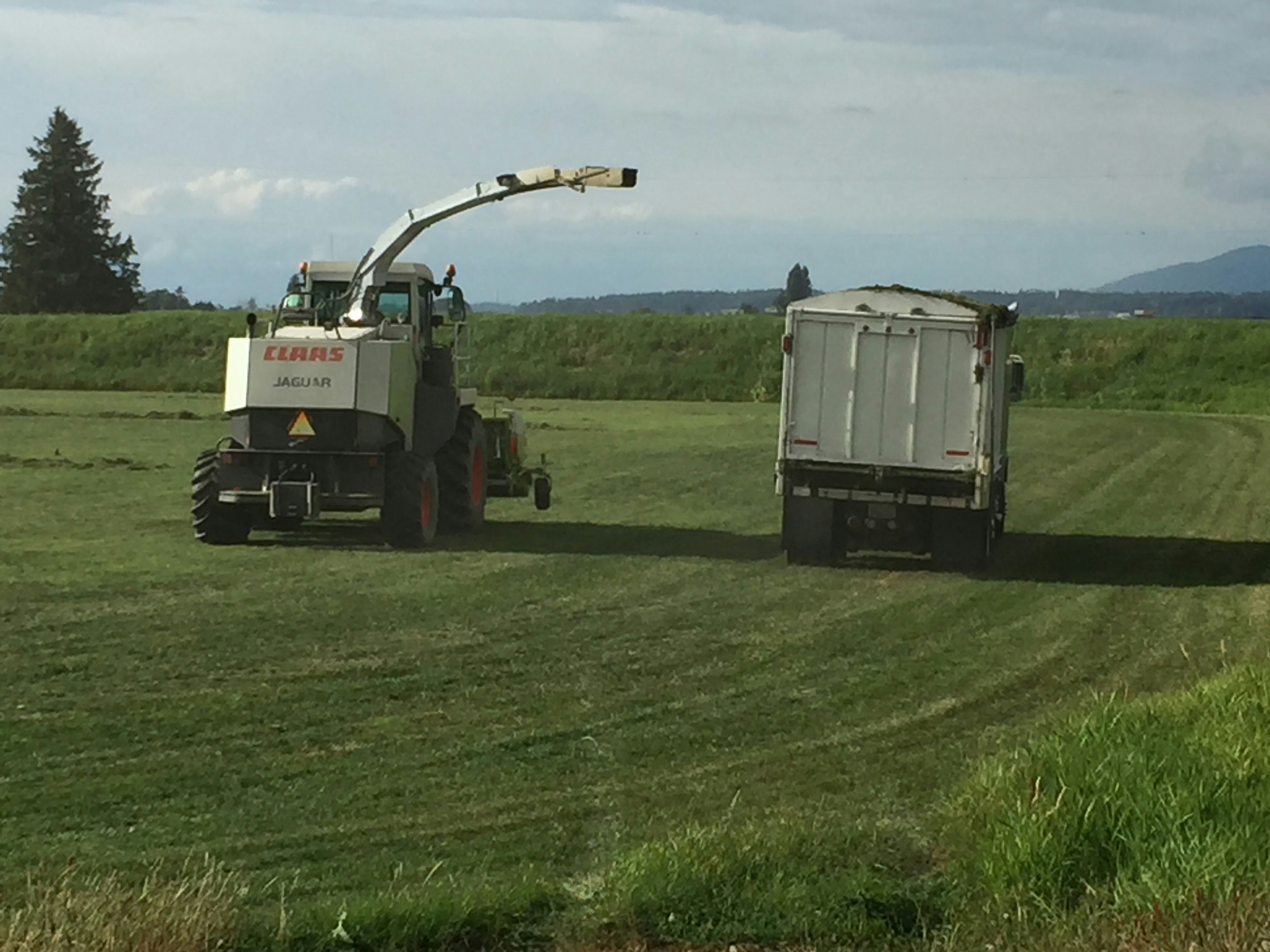 Free Unsplash photo from Whitney Krajcirovic