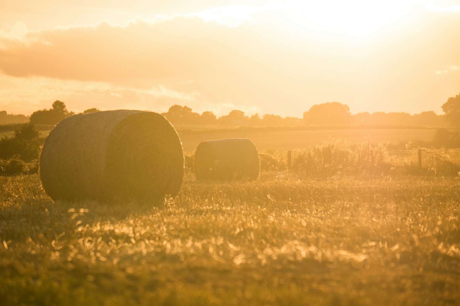 Sony Alpha NEX-6 + Sony E 55-210mm F4.5-6.3 OSS sample photo. Two rolled hay bales photography