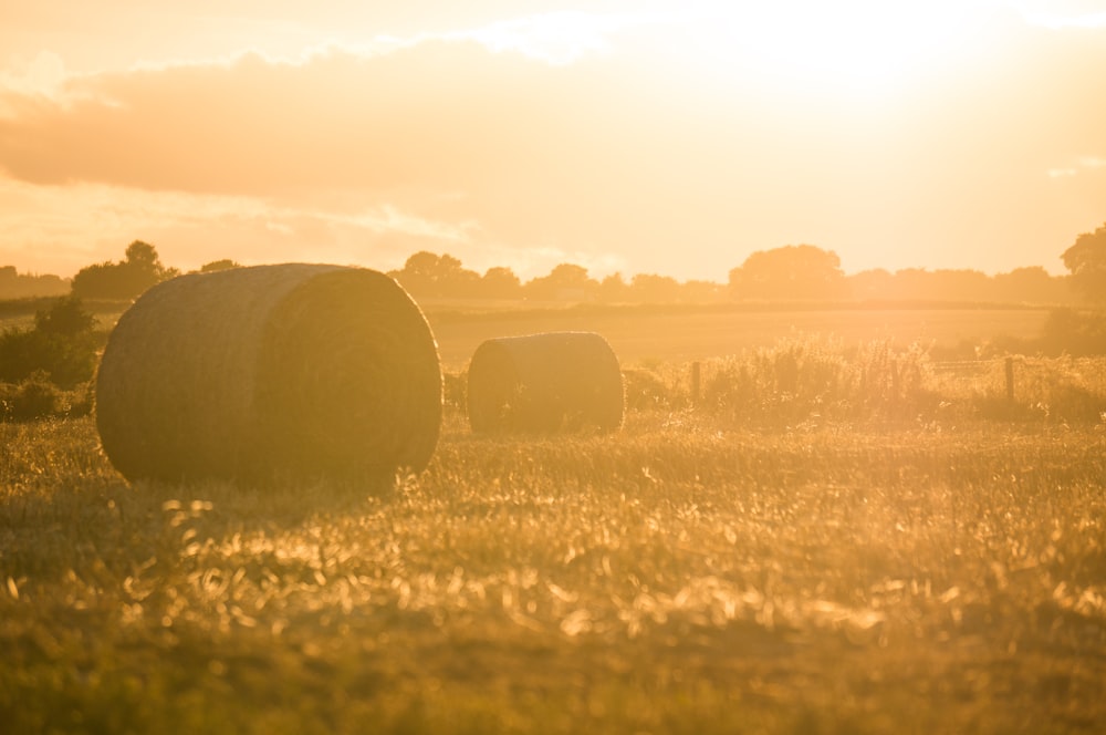 two rolled hay bales on grass field during golden hour