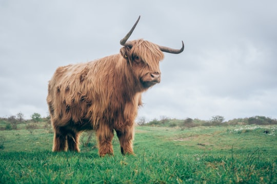 photo of Beverwijk Highland near Flevopark