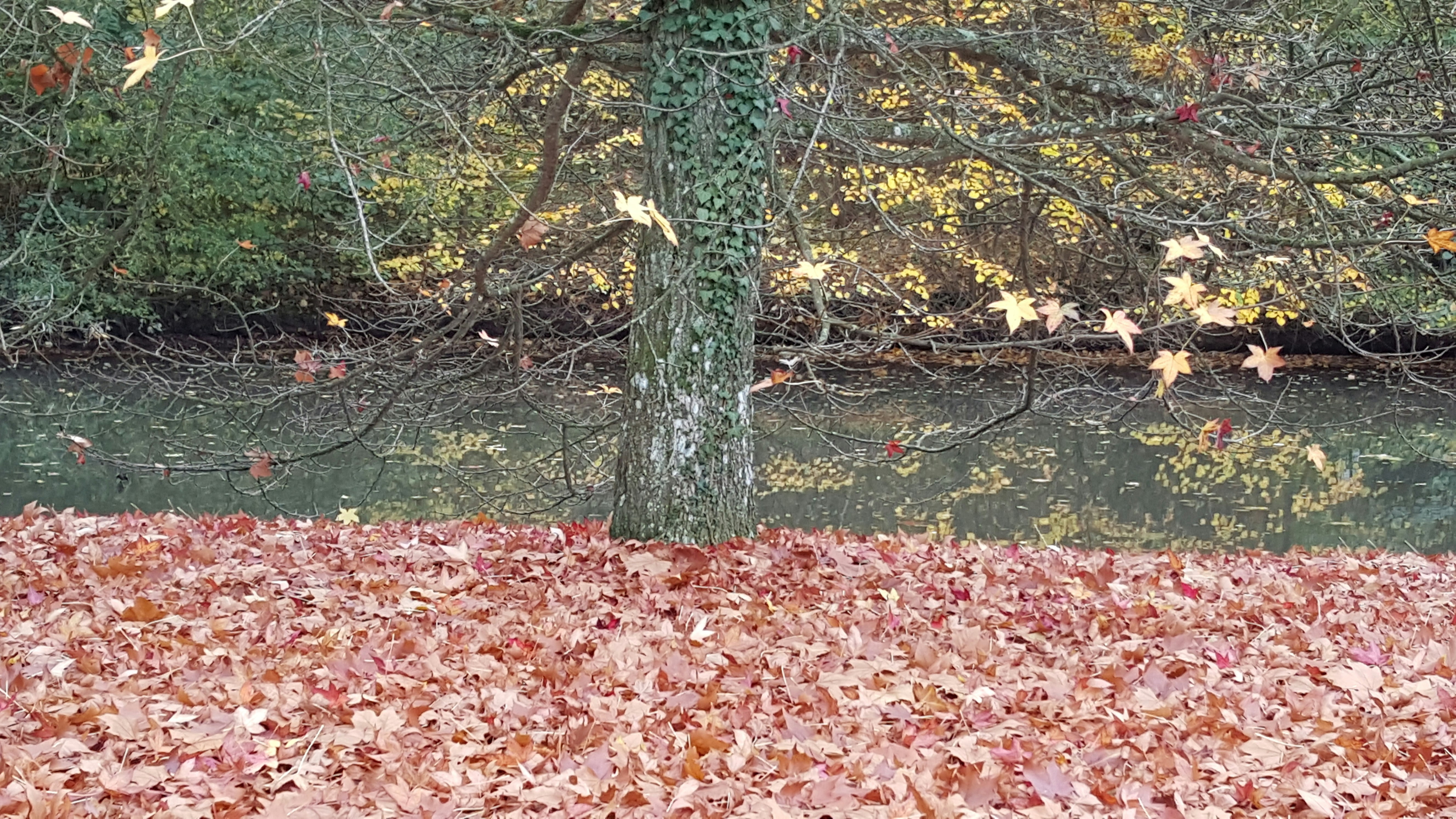 Free Unsplash photo from Claudia Gonçalves