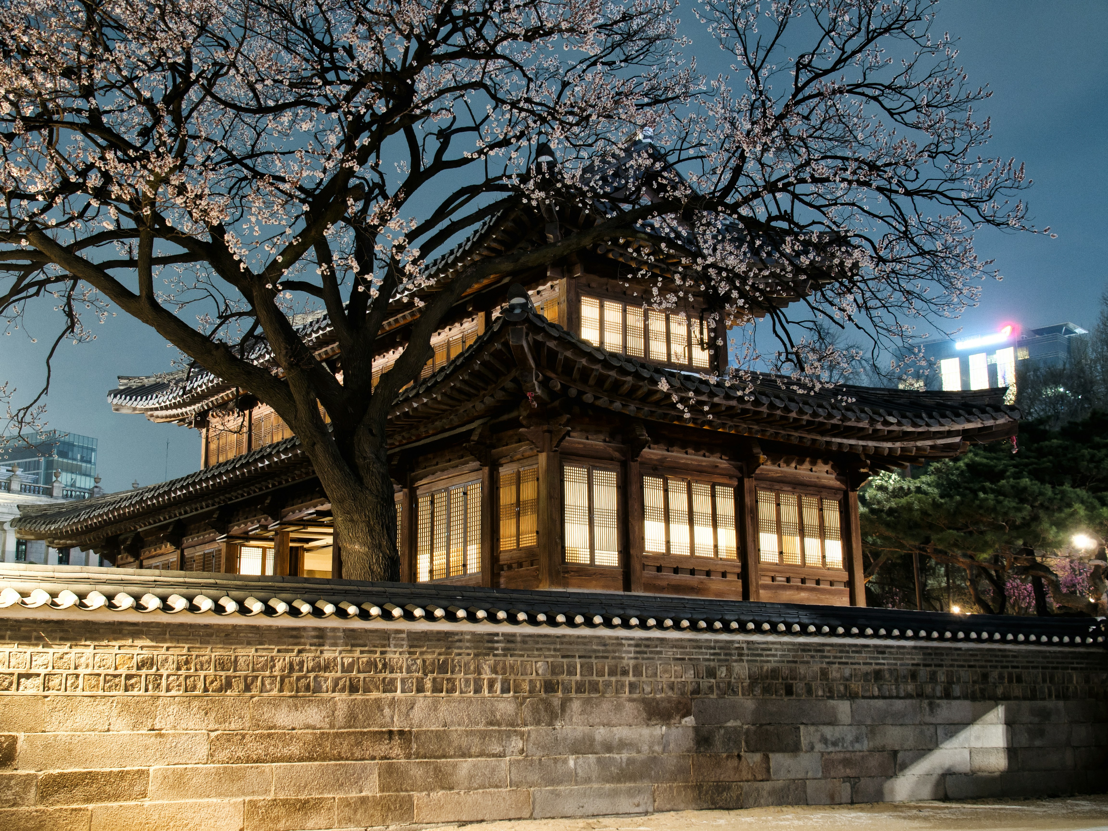 Free Unsplash photo from Emre Kanik