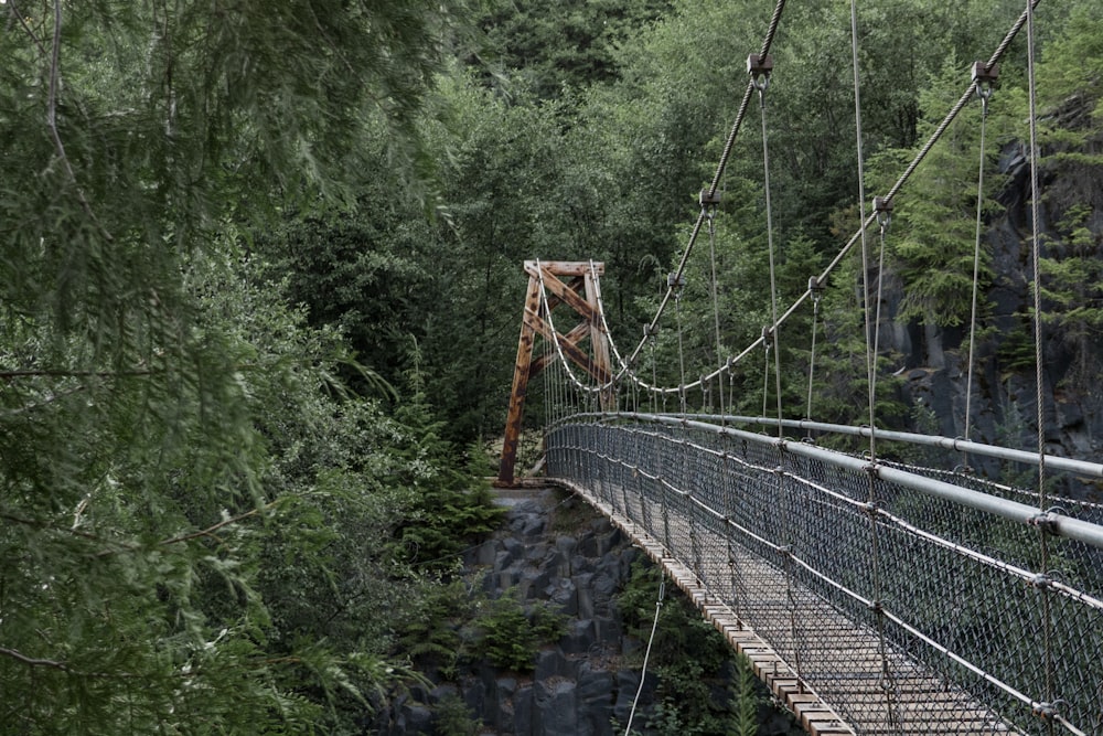 brown wooden bridge in the middle of green trees