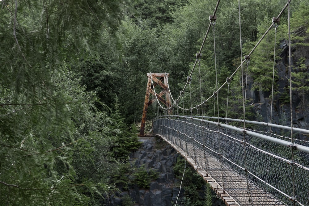ponte de madeira marrom no meio das árvores verdes