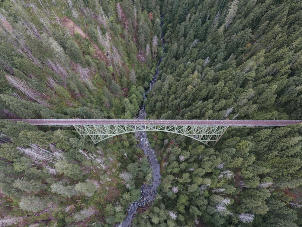 Photo aérienne du pont brun et des arbres verts