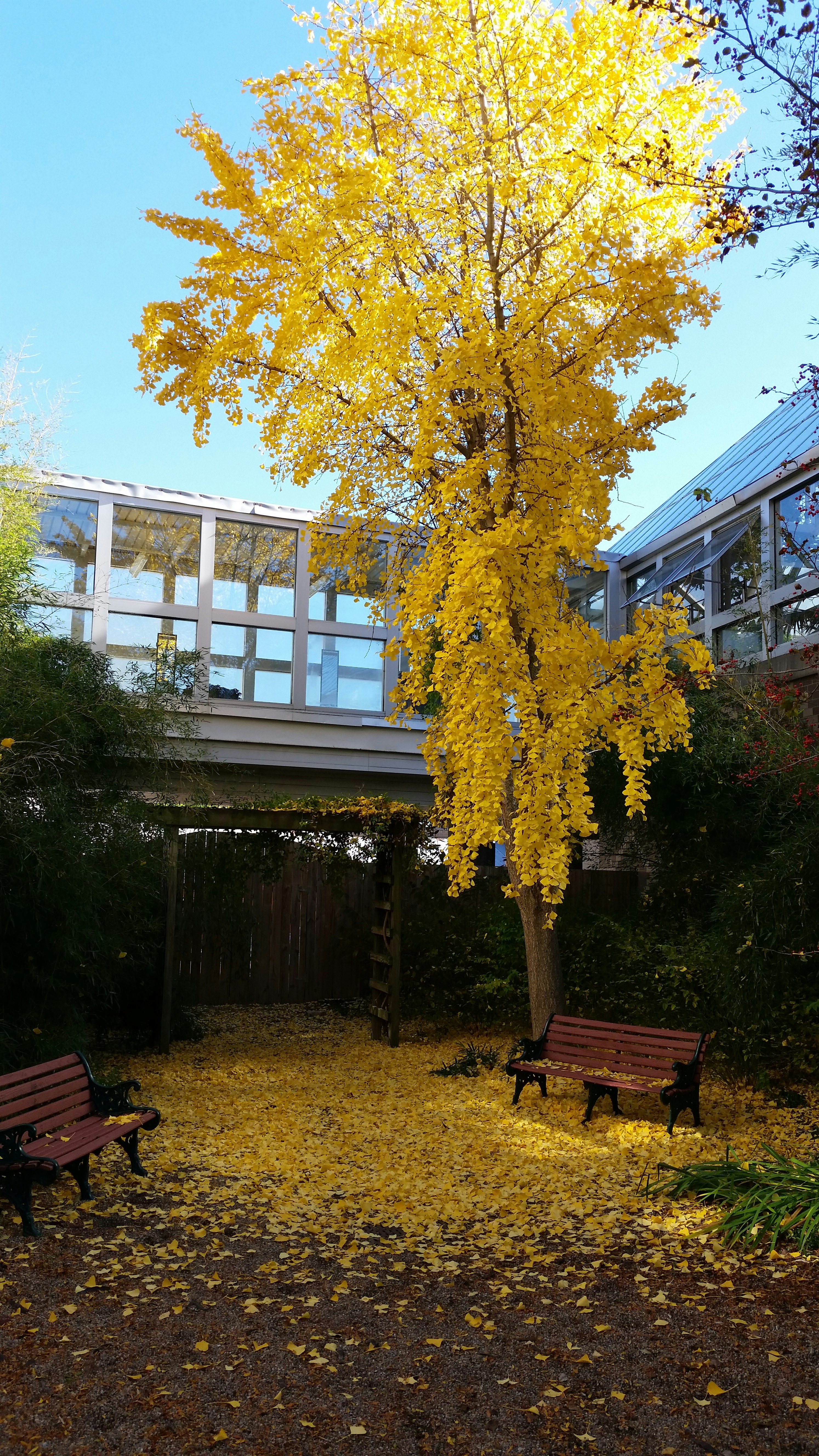 Free Franklin Park Conservatory And Botanical Gardens Image On