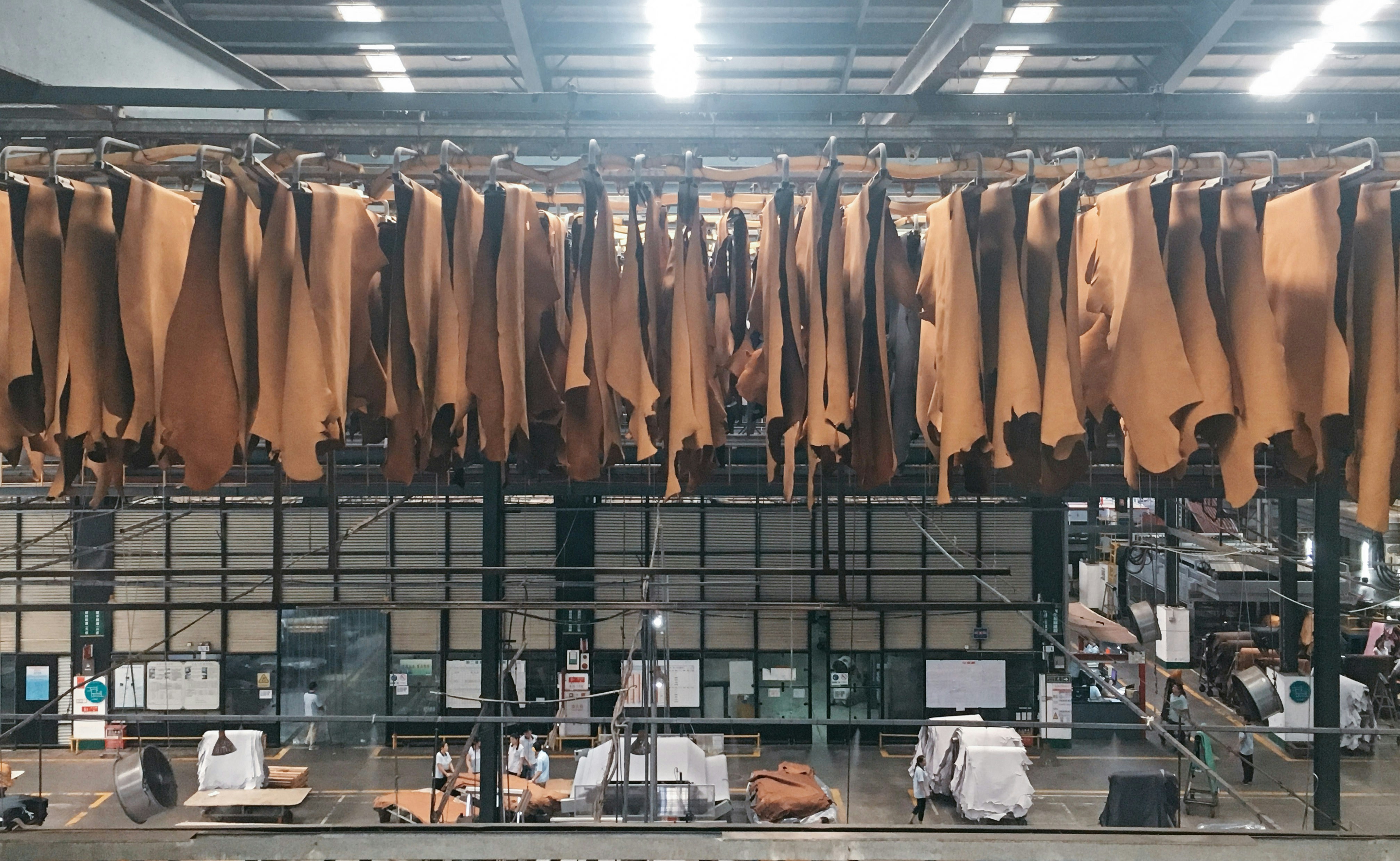 Free Unsplash photo from CHU TAI