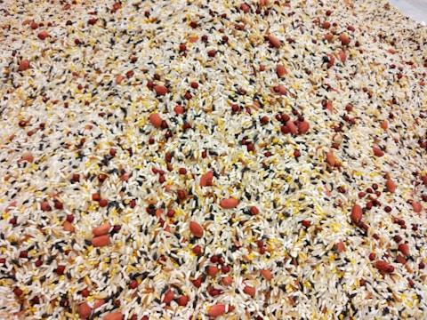 A detailed mixture of various types of grains and seeds, including white rice, black rice, red beans, and peanuts, all evenly distributed and blended together.