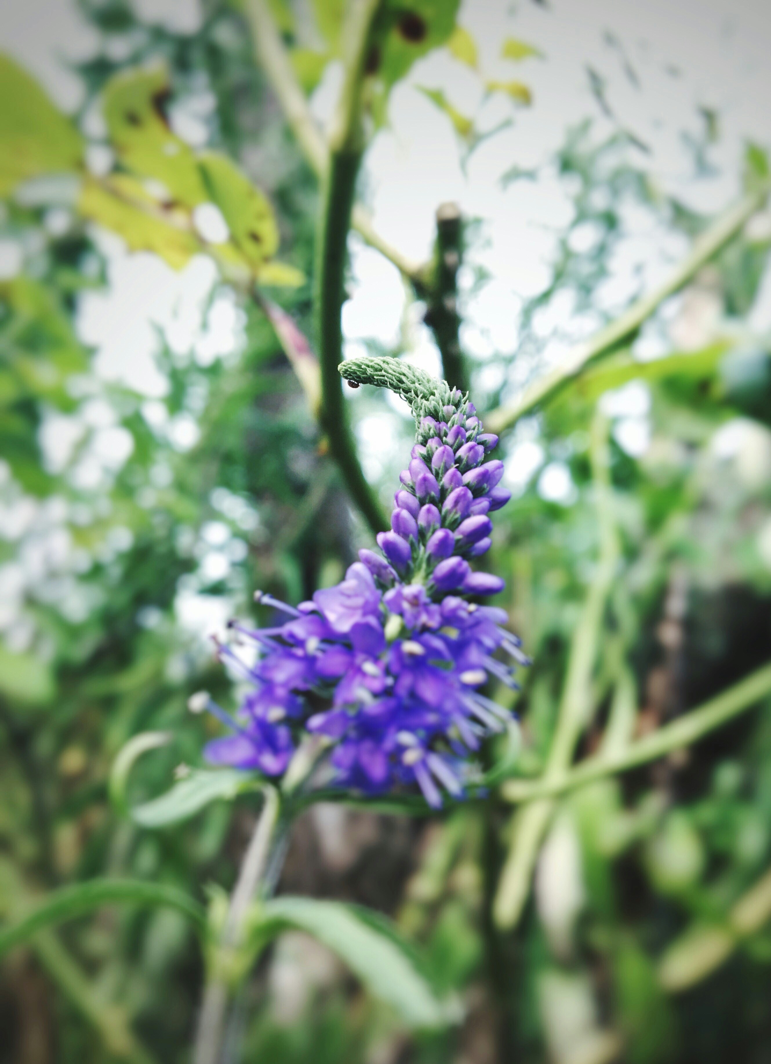 Free Unsplash photo from Семён Негодяй