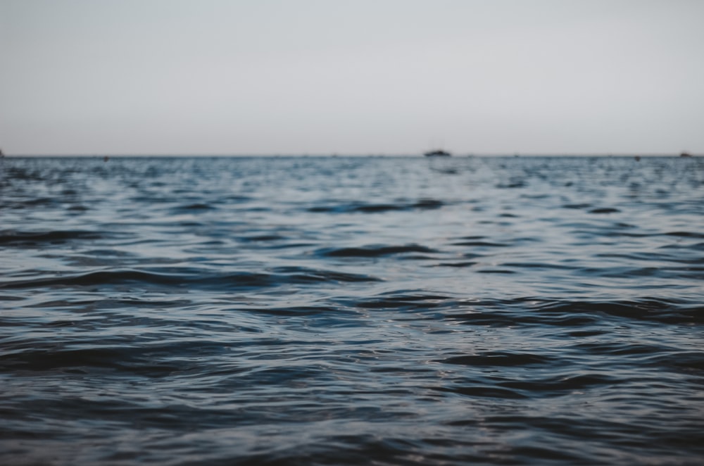 close up photography of body of water