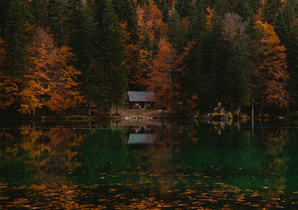 Fotografía reflexiva de cabaña en el bosque