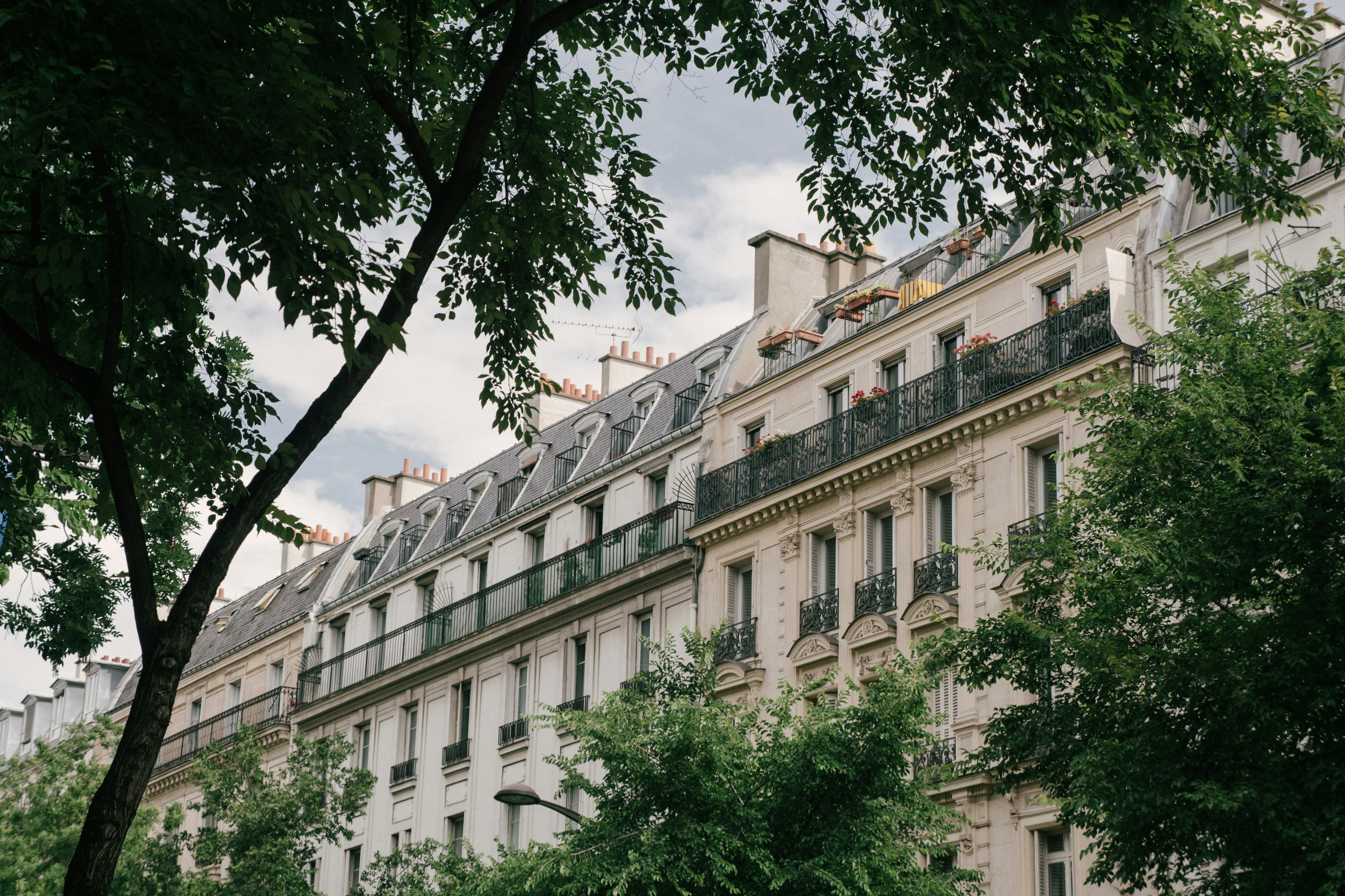 Free Unsplash photo from Louis Vieira