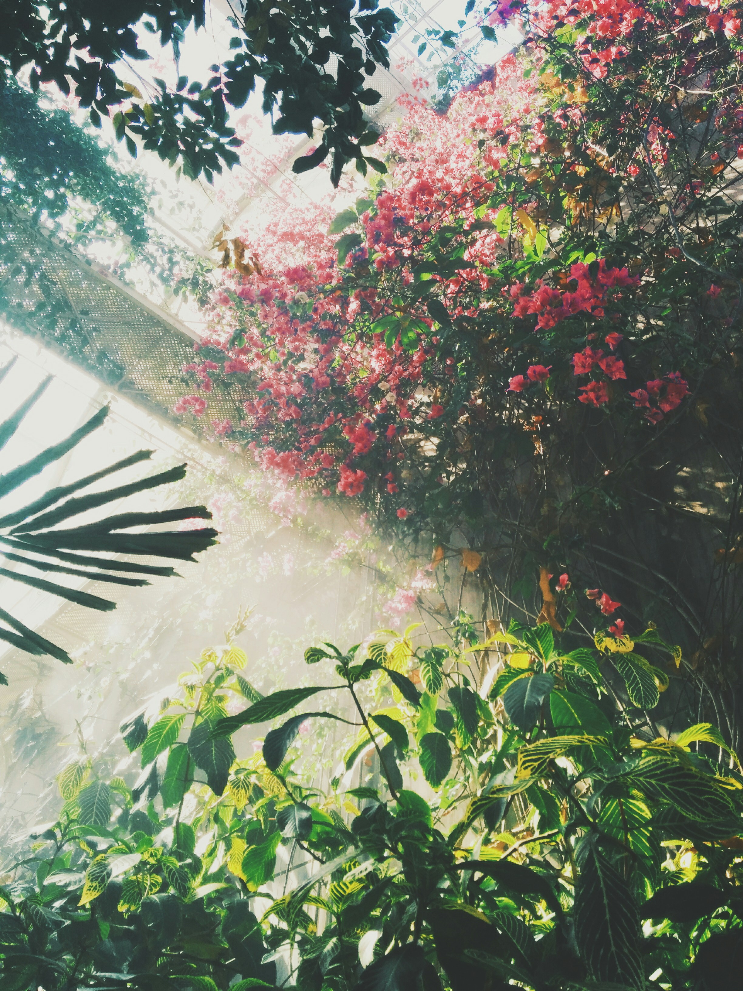 Growing Pains: The Unexpected Lessons from Vertical Gardens