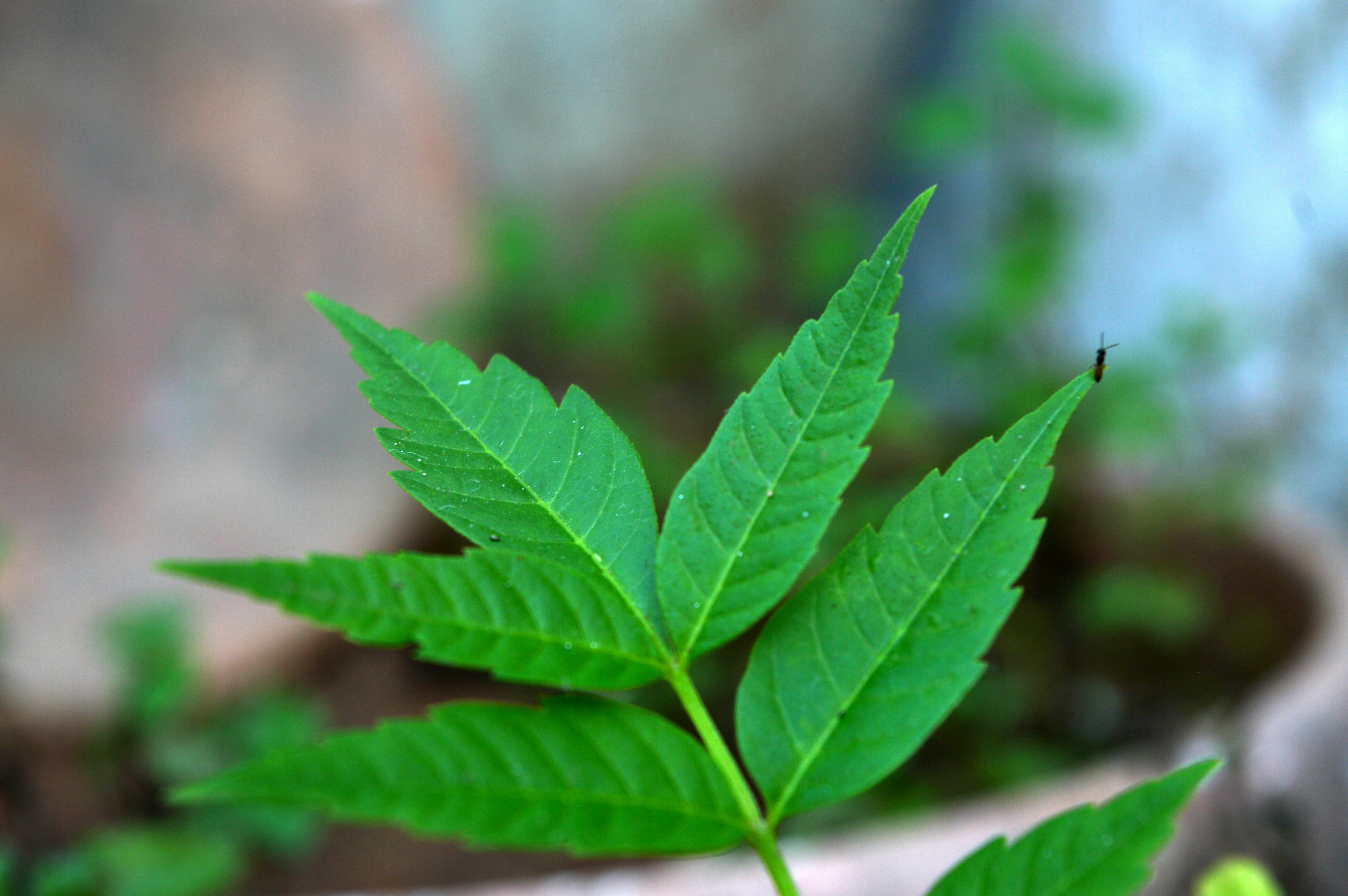 Free Unsplash photo from Ghayoor Malik