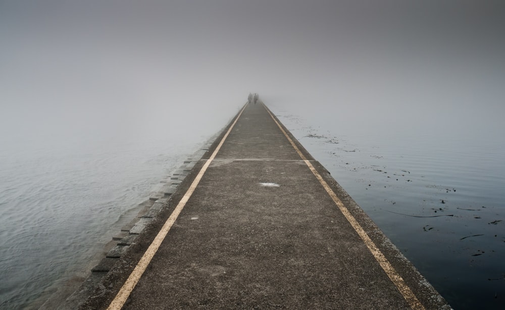 photo of boardwalk between body of water