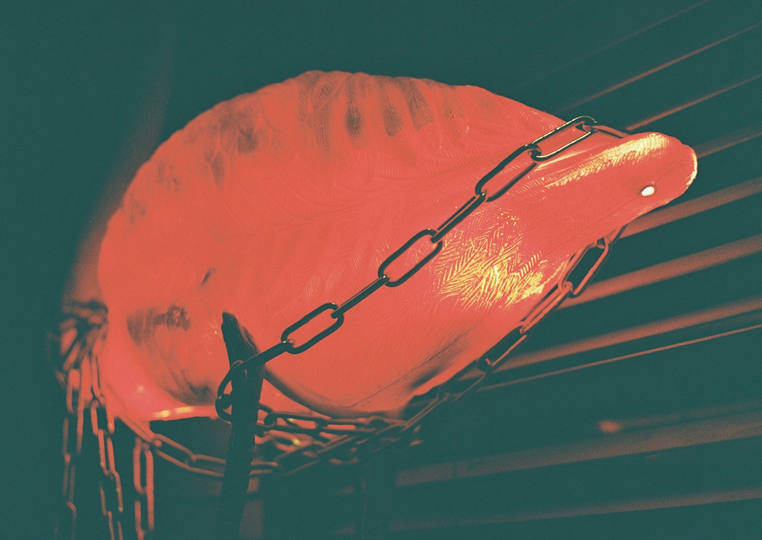 Free Unsplash photo from Ben Handschuh