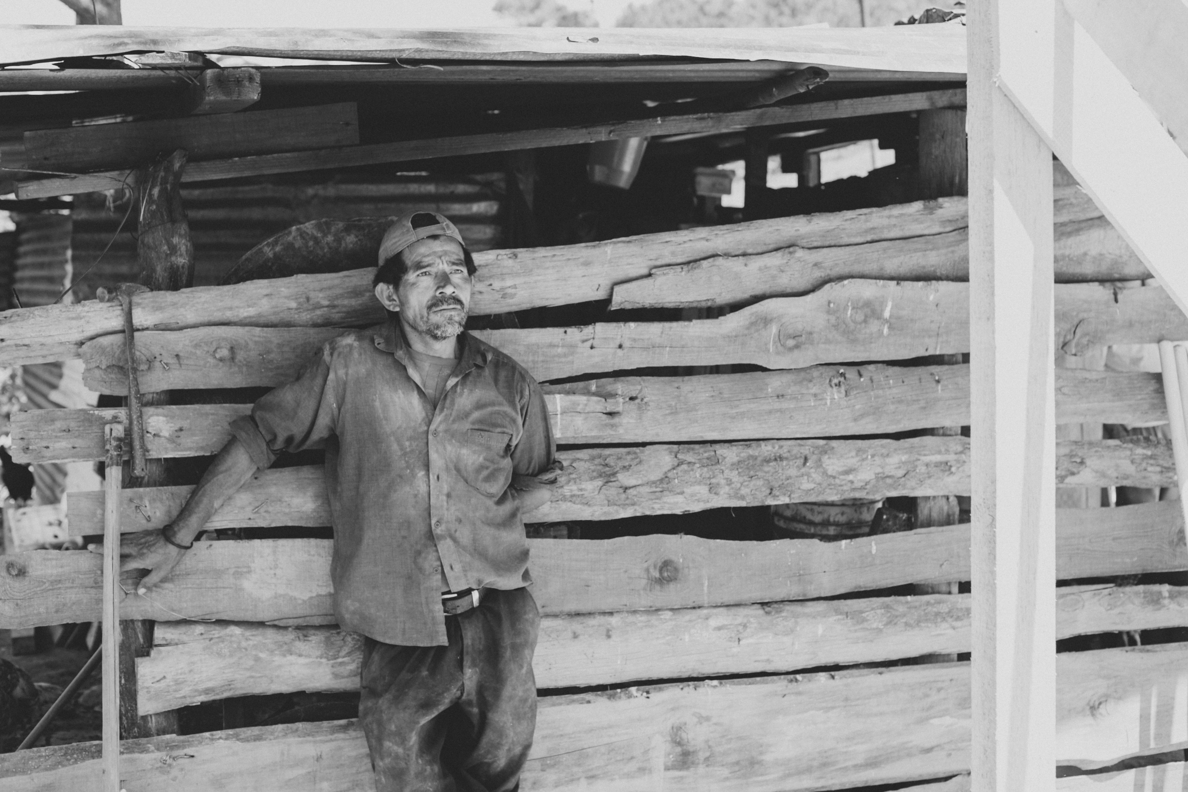 Free Unsplash photo from Alan Black